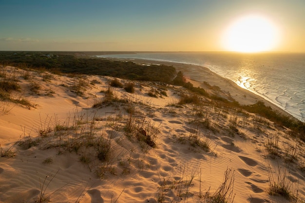 Duna al tramonto della spiaggia di Ponta Grossa Icapui Ceara Brasile