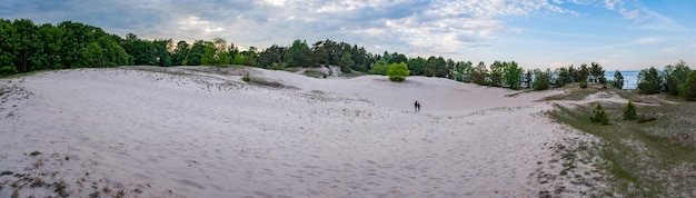 Duna bianca circondata da una bellissima foresta verde e dal Mar Baltico durante la giornata estiva al tramonto