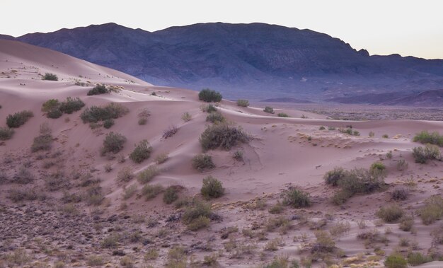 duna collina sabbiosa nel deserto al tramonto