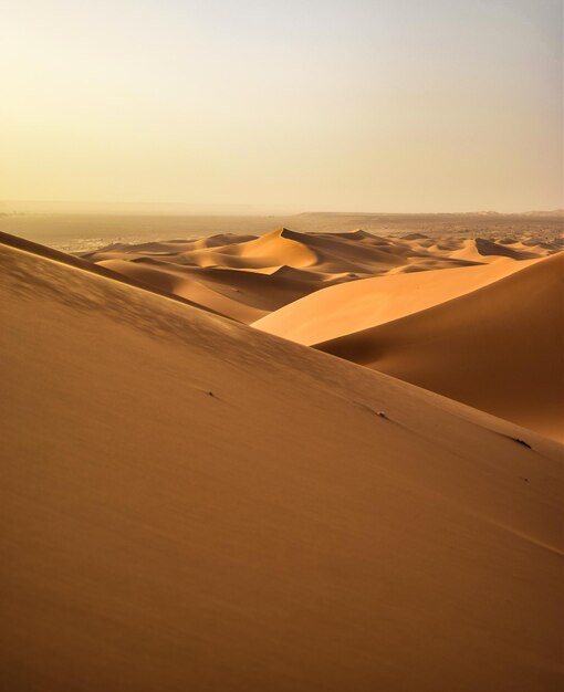 Duna di sabbia dell'Erg Chebbi contro il cielo blu chiaro Foto gratuite