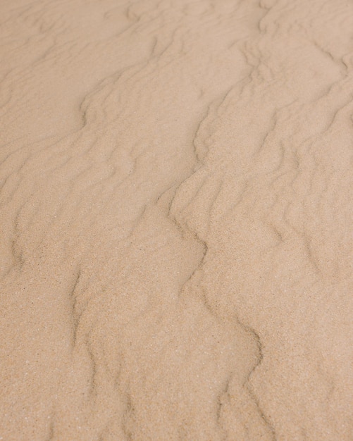 Duna di sabbia gialla sulla spiaggia come sfondo