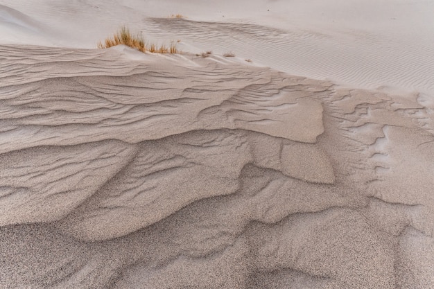 Duna di sabbia nel deserto