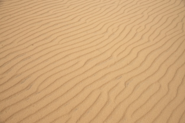 Duna di sabbia nel deserto