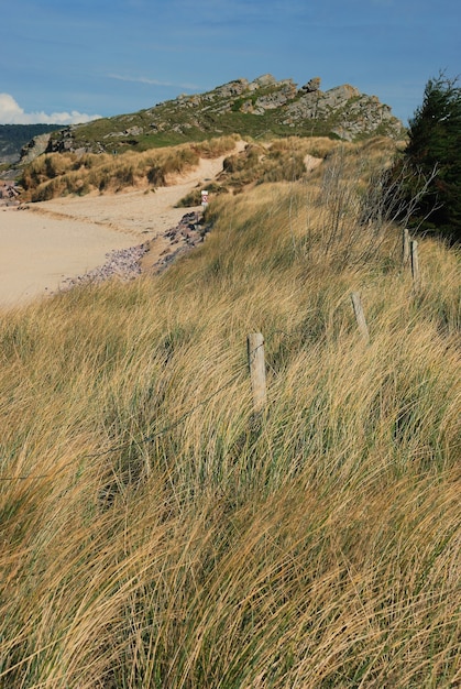 Dune con erba di marram