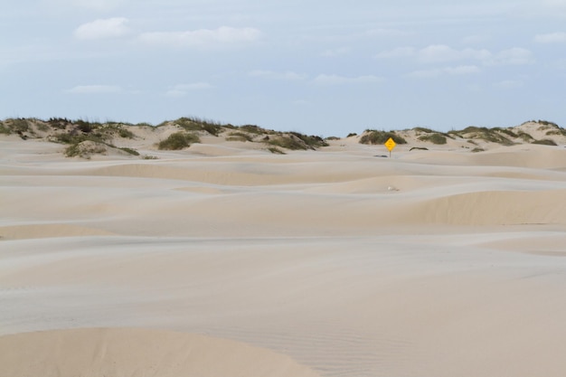 Dune costiere di South Padre Island, TX.