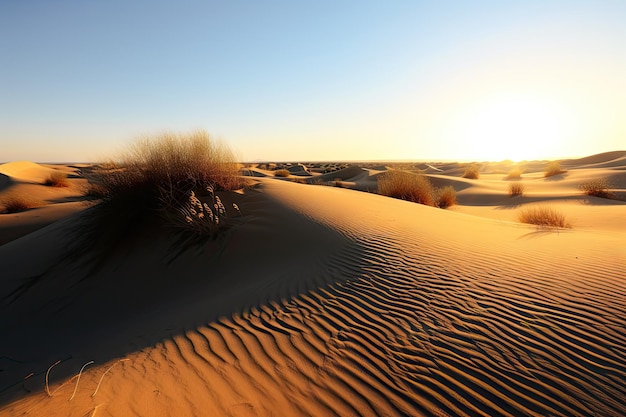 Dune del deserto con il sole al tramonto e il cielo azzurro sullo sfondo