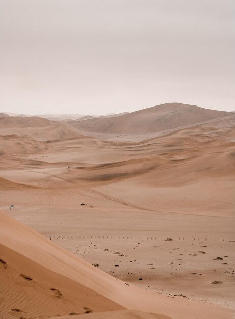 Dune del deserto del quarto vuoto a Liwa Abu Dhabi