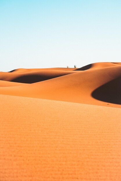 Dune del deserto del quarto vuoto a Liwa Abu Dhabi