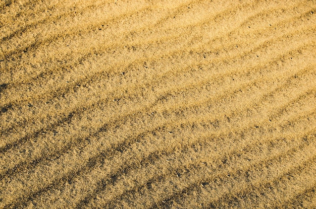 Dune del deserto di sabbia giallaSiccità clima aridoSuperficie marzianaClose up