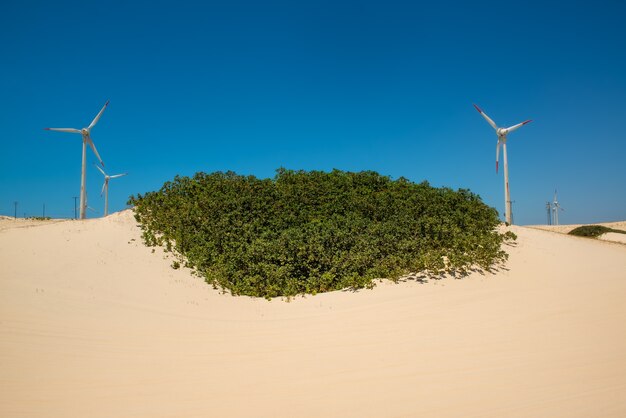 Dune di Aquiraz vicino a Fortaleza Ceara Brasile