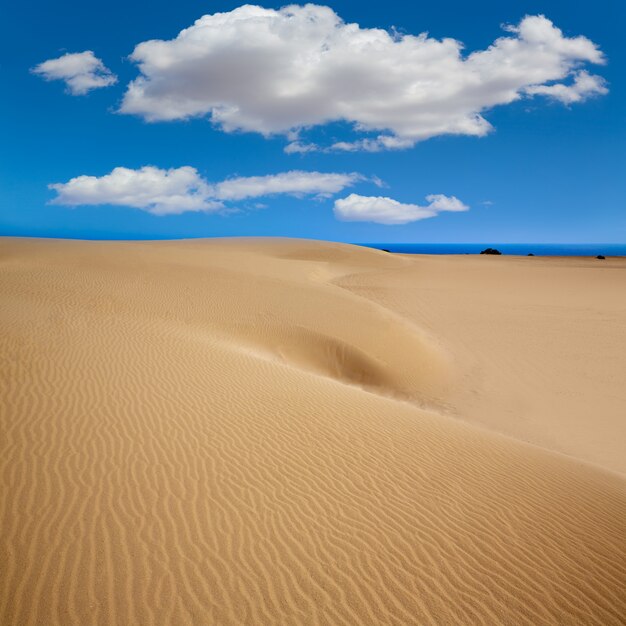 Dune di Corralejo Deserto dell&#39;isola di Fuerteventura