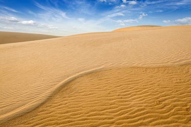 Dune di sabbia bianca mui ne vietnam