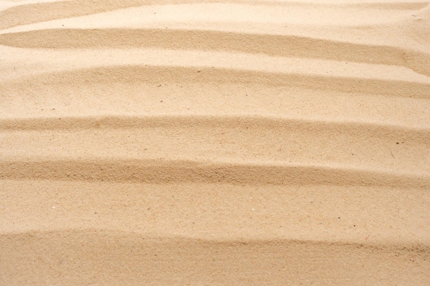 Dune di sabbia con una piccola quantità di increspature nel mezzo della sabbia.