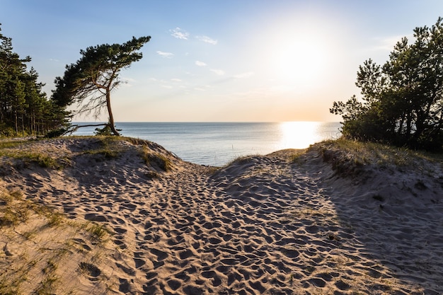 Dune di sabbia contro la luce del tramonto sulla spiaggia del Mar Baltico