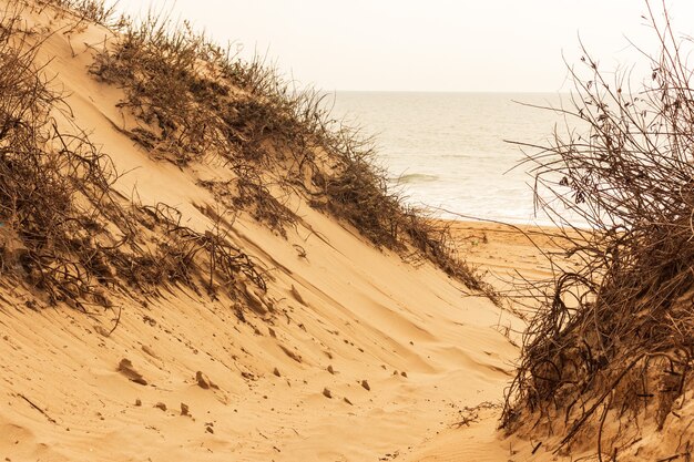 Dune di sabbia contro la luce del tramonto sulla spiaggia