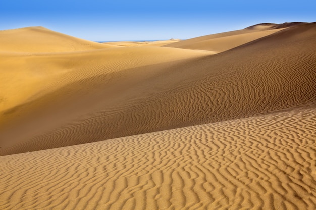 Dune di sabbia del deserto a Maspalomas Gran Canaria