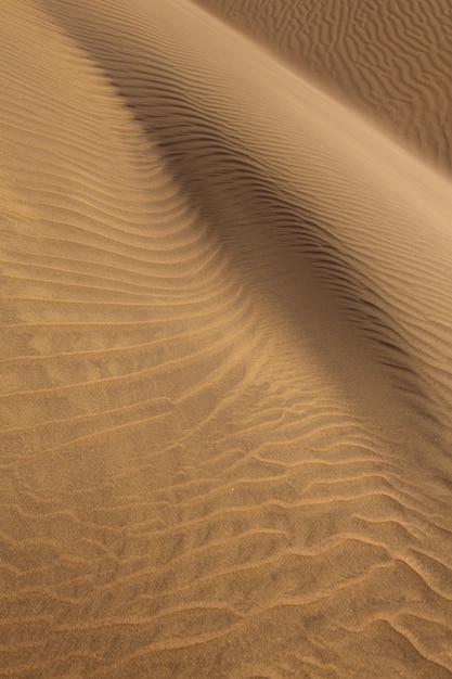 Dune di sabbia del deserto a Maspalomas Gran Canaria