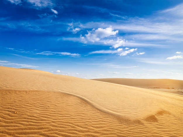 Dune di sabbia del deserto su alba