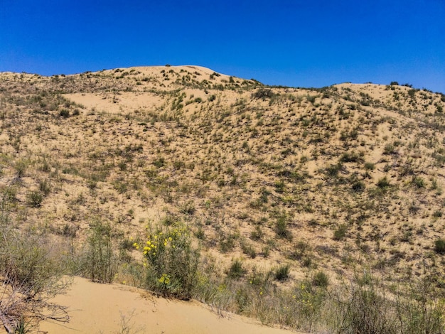 Dune di sabbia della duna di Sarykum Un monumento naturale Daghestan Russia