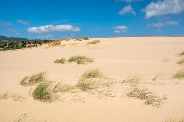 Dune di sabbia della spiaggia di Guincho