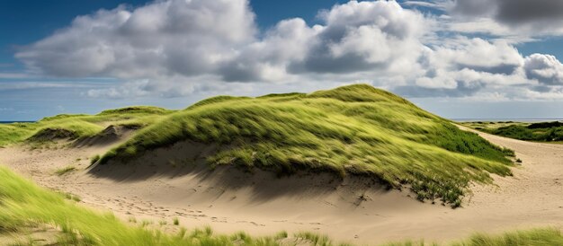 Dune di sabbia di Grenn con bunker sulla costa danese