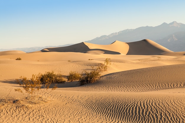 Dune di sabbia di Mesquite Flat nel deserto della Valle della Morte - California