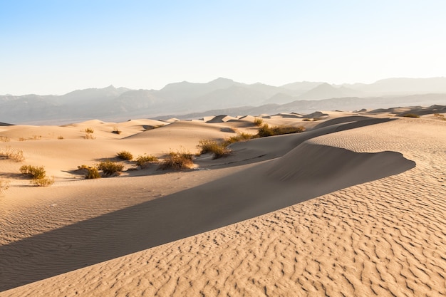 Dune di sabbia di Mesquite Flat nel deserto della Valle della Morte - California