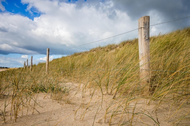 Dune di sabbia e recinzione su una spiaggia Re Island France Sfondo nuvoloso