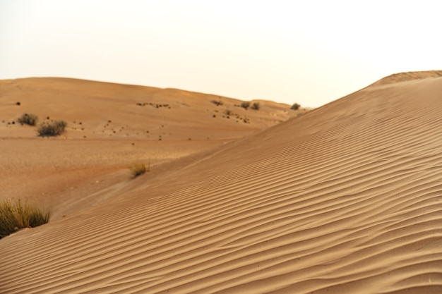 Dune di sabbia gialle nel deserto di dubai