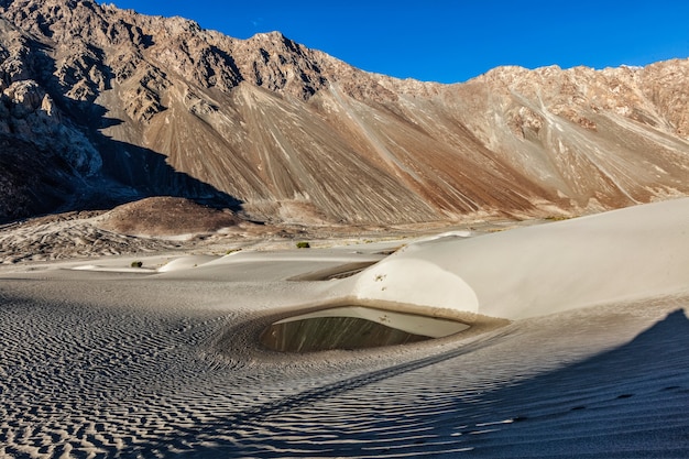 Dune di sabbia in Himalaya