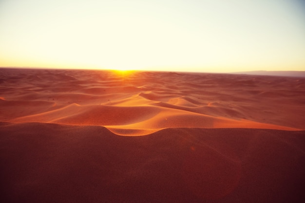 Dune di sabbia incontaminate nel deserto remoto