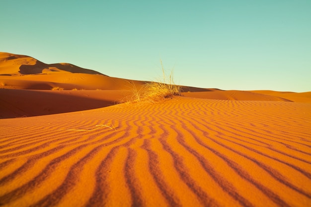 Dune di sabbia incontaminate nel deserto remoto