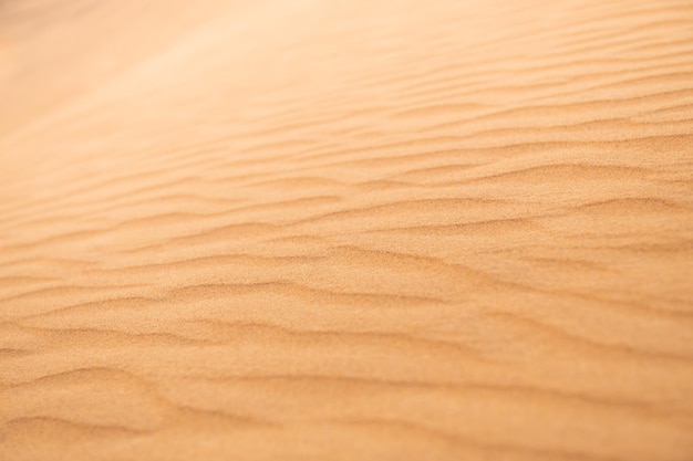 Dune di sabbia nel deserto al tramonto sfondo naturale di sabbia gialla astratta
