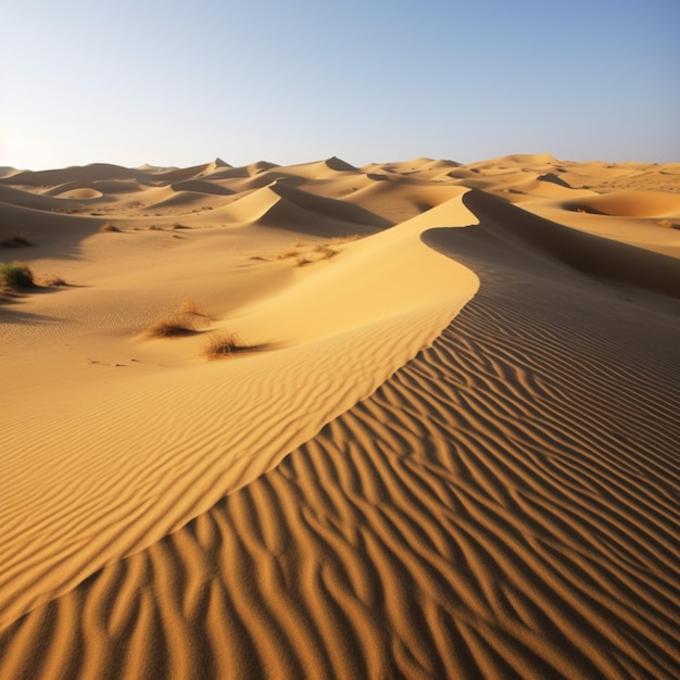 Dune di sabbia nel deserto con il tramonto del sole