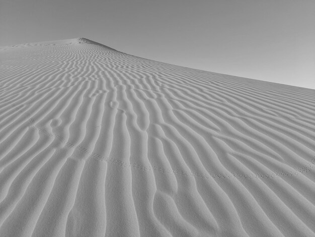 Dune di sabbia nel deserto contro il cielo