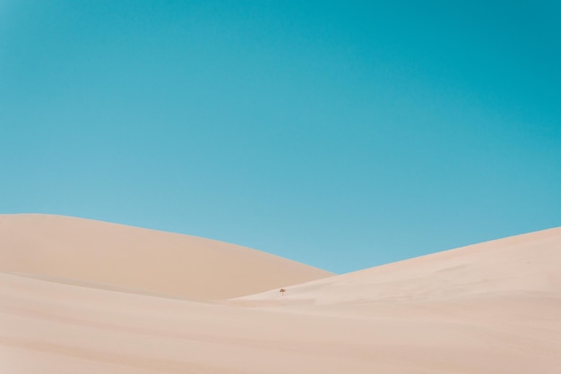 Dune di sabbia nel deserto contro un cielo blu limpido