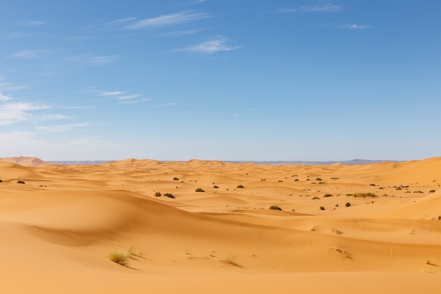 Dune di sabbia nel deserto del sahara erg chebbi marocco