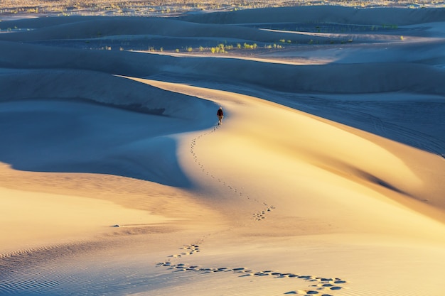 Dune di sabbia nel deserto del Sahara