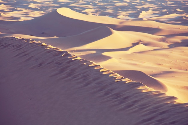 Dune di sabbia nel deserto del Sahara