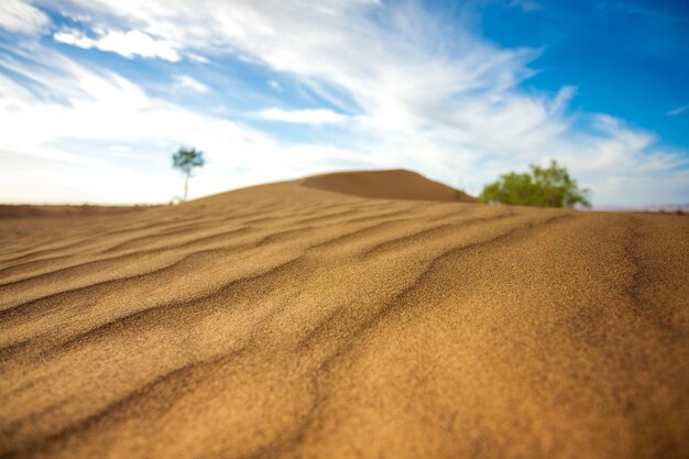 Dune di sabbia nel deserto del Sahara