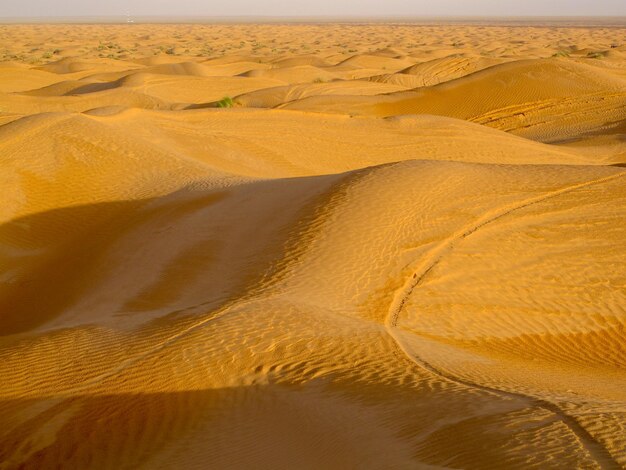 Dune di sabbia nel deserto