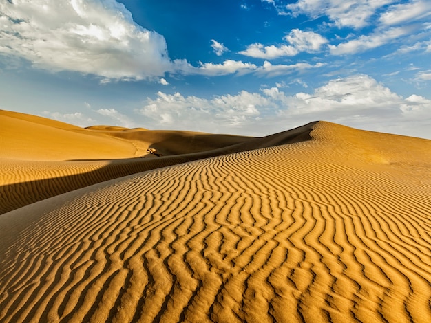 Dune di sabbia nel deserto