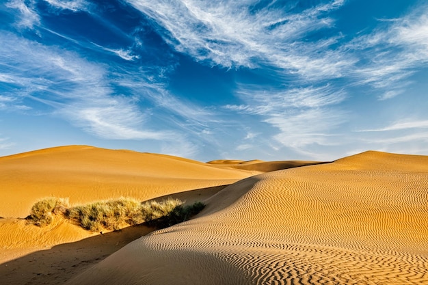 Dune di sabbia nel deserto