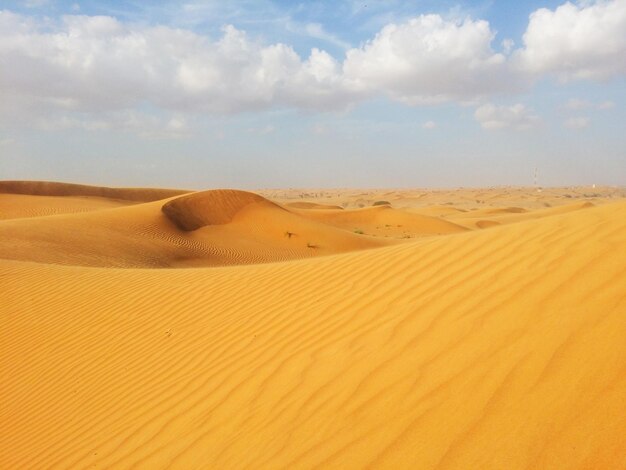 Dune di sabbia nel deserto