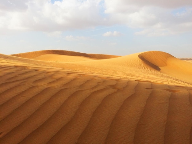 Dune di sabbia nel deserto