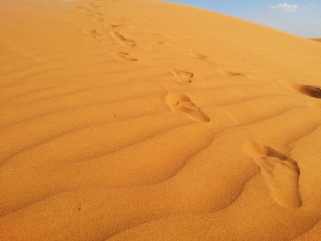 Dune di sabbia nel deserto