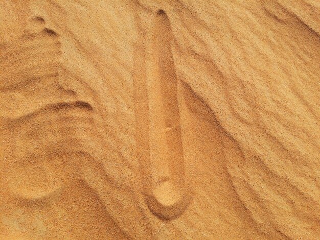 Dune di sabbia nel deserto