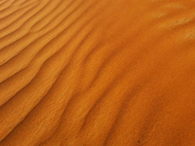 Dune di sabbia nel deserto