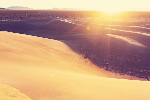 Dune di sabbia nel Parco Nazionale della Valle della Morte, California, USA