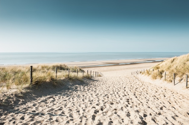 Dune di sabbia sulla costa del mare del Nord a Noordwijk, Paesi Bassi, l'Europa.
